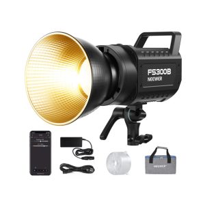 300b